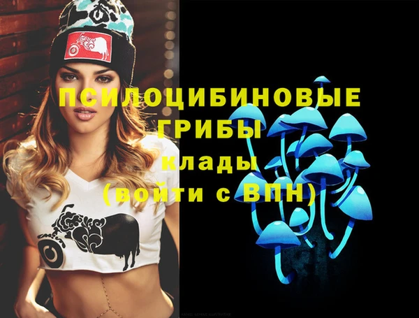 эйфоретик Алексин