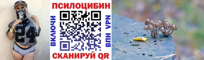 Псилоцибиновые грибы мицелий  Крым 